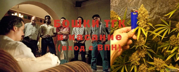 трава Балахна