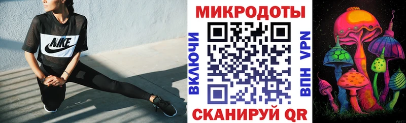 дарк нет как зайти  Судак  Галлюциногенные грибы MAGIC MUSHROOMS  OMG маркетплейс 